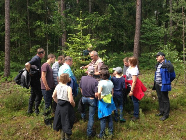 Imkerausbildung Honig - Waldtracht